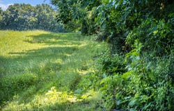 Vl Waite Road, Clarklake, MI 49234