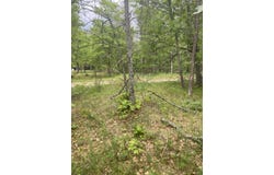 Stitt Lane, Mio, MI 48647