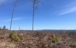 Deer Hill Road, Harrison, ME 04040