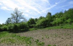 Horse Run Road, Shinglehouse, PA 16748