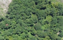 3.50 AC County Road 3103, Call, TX 75933