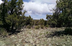 23205 US 64, Taos, NM 87577-1111