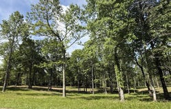 Lot 5 Hobbstown Road, Dunlap, TN 37327