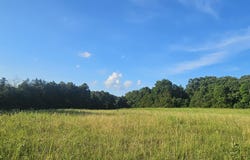 001 Tomahawk Slab Road, Saint Joe, AR 72675