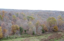 250 Lee Sullivan Rd., Raywick, KY 40060