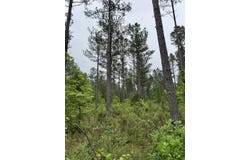000 Sullivan Road, Dunlap, TN 37327