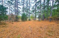 20288 State Highway 63, Hogen, OK 74939