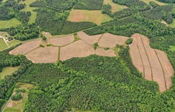 4209 Hall Road, Rougemont, NC 27572