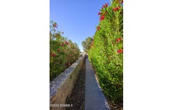 2025 Pinetrail Street, Las Cruces, NM 88012