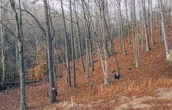 Lot 127 Timber Ridge, Murphy, NC 28906
