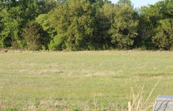 Tbd Waters Edge Lane, Glen Rose, TX 76043