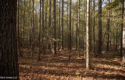 0 Vaughn Road, Vaughn, MS 39179