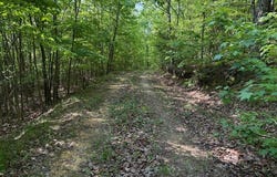 0 County Road 103, Mentone, AL 35984