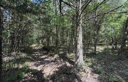 Bell Foley Road, Poughkeepsie, AR 72569