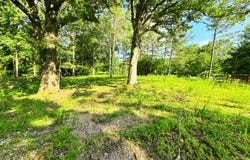 6335 Lake Hardeman Road, Saulsbury, TN 38067
