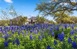 300 Logans Way, Blanco, TX 78606