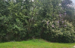 6430 Norris Street, Columbia, SC 29209