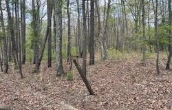 0 Edgemond Drive, Hartshorn, MO 65479