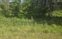 3418 KINGSBURY LAKE WAY, KETTLE FALLS, WA 99141