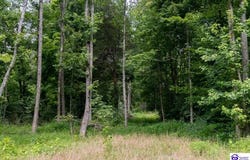 Tract 2 Cook Lane, Cromwell, KY 42333