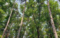 4 County Trunk I, Sparta, WI 54656