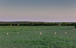 2367 County Road 311, Gouldbusk, TX 76845