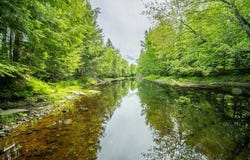Appleton Ridge Road lot: 88-2, Searsmont, ME 04973