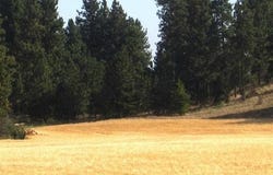 600 N Flint Rd, Spokane, WA 99224