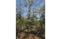 Tract 1 2nd Street Spiro 74959, Spiro, OK 74959