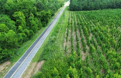 000 Brickyard Road, Wallace, SC 29512