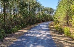 Oriental, NC 28571