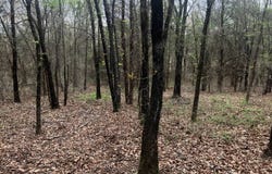 TBD Alicia Lane, Howe, OK 74940