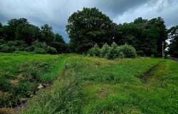 LOT 1 WHITNEY SWAMP ROAD, BRIDGEVILLE, DE 19933