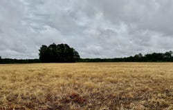 0 N Nc  11 Highway, Murfreesboro, NC 27855