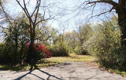 309 Crowndale Rd, Cantonment, FL 32533