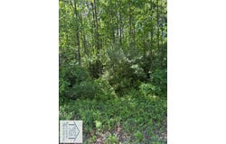 Fairystone Park Highway, Stuart, VA 24171