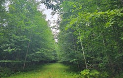 0 ST. JOHNS LANE, Crandon, WI 54520