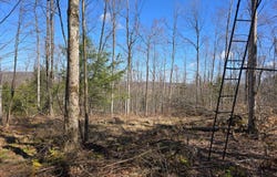190 Clute Hill Rd Ext, Richford, NY 13835
