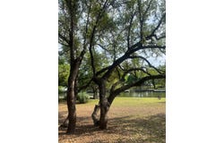 1705 Glencove, Kingsland, TX 78639