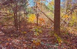 Lovely Zion Road, Rawlings, VA 23876