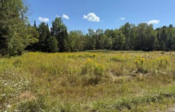 39 Burleigh Road, Stetson, ME 04488
