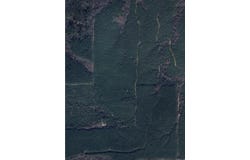 Star City, AR 71667