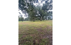 0 Finch Ln Lot 7, Independence, LA 70443