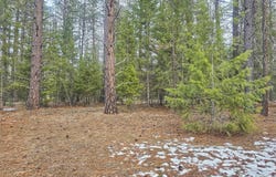 270 EAGLE DR, CHEWELAH, WA 99109