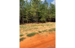 Deer Loop lot: 12, Camden, AL 36726