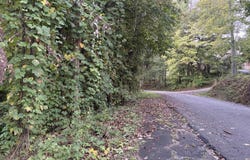Mountain View Road, Williamsburg, KY 40769
