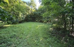 40 Acres Hwy NN, Ithaca, WI 53581