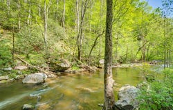 39 Acre Tumbling Creek Rd, Saltville, VA 24370