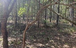Hhf 2 Old Georgetown Road W, Kershaw, SC 29067