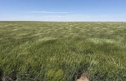000 E ROAD 250, DIGHTON, KS 67839